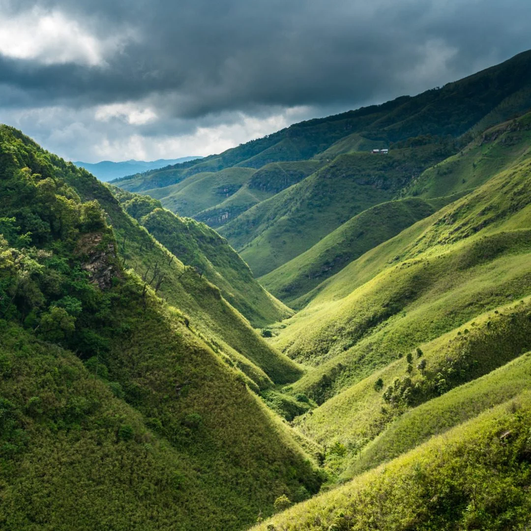 Dzukou-valley-q8v7of0d3fbwosxmrafow9v0j487mlgpp6krsxefqo